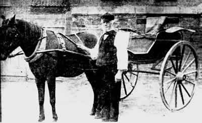old photo of Thomas Hatfield, pony and trap in Laxton, Yorkshire