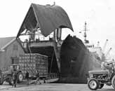 Goole Docks: Unloading Carlsberg Lager