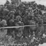 carlton-lake