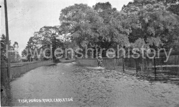 carlton-flood