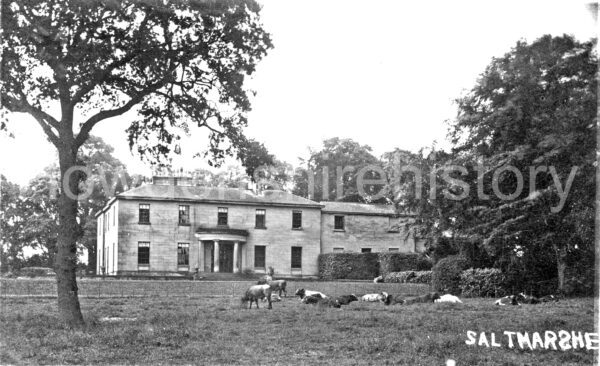 saltmarshe-hall-cows1
