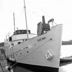 bluebird-at-goole