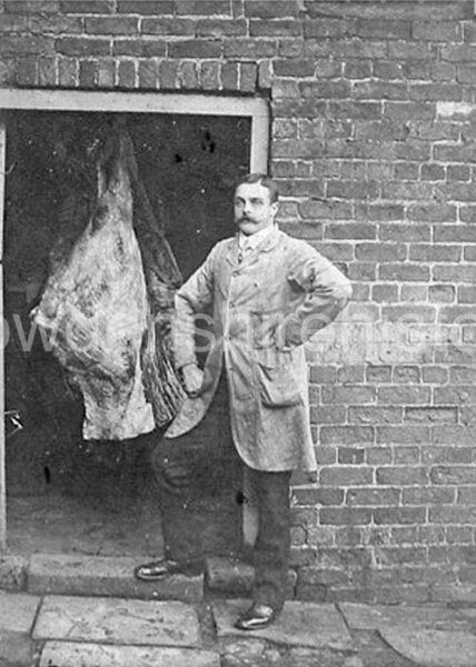 drax-butcher-herbert-thomas