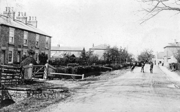 foggathorpe-haldene-row