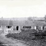 newbald-8