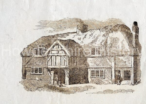 moot-hall
