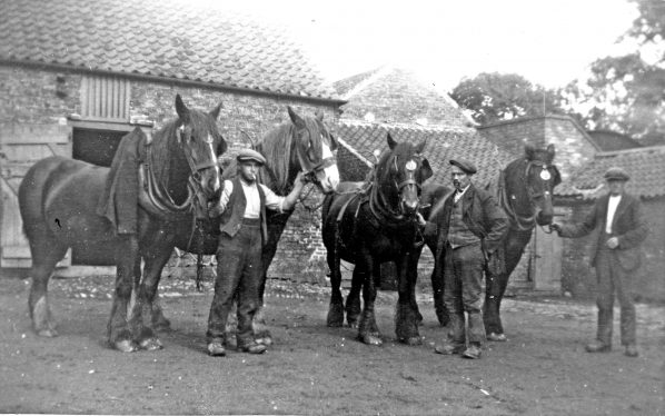 albert-tipping-centre
