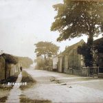 reedness-5