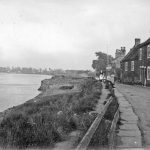 reedness-2