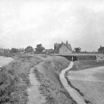 reedness-8