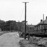 reedness-3