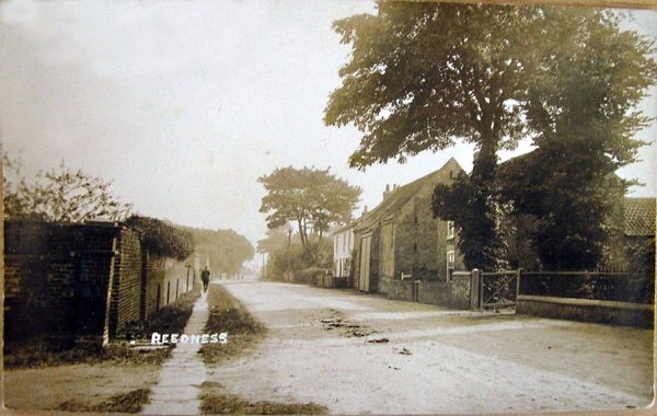 reedness-5