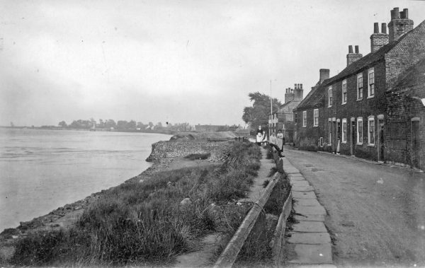 reedness-2