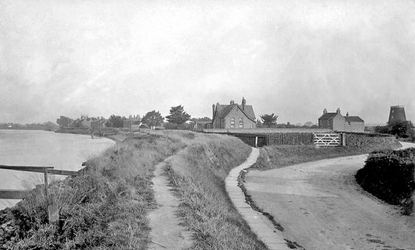 reedness-8