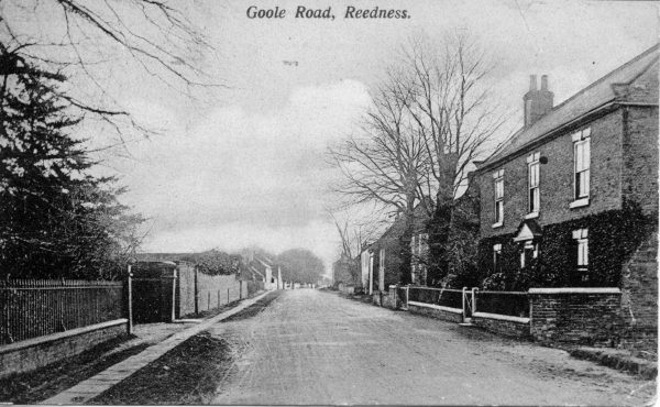 reedness-4