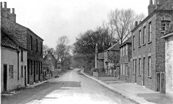 reedness-6
