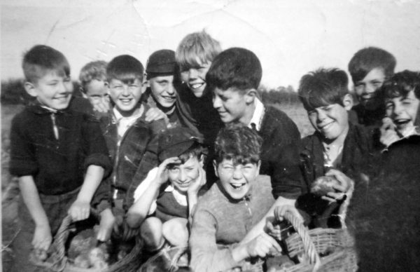 howden-boys-potato-picking