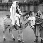 swinefleet-mary-and-joseph-2