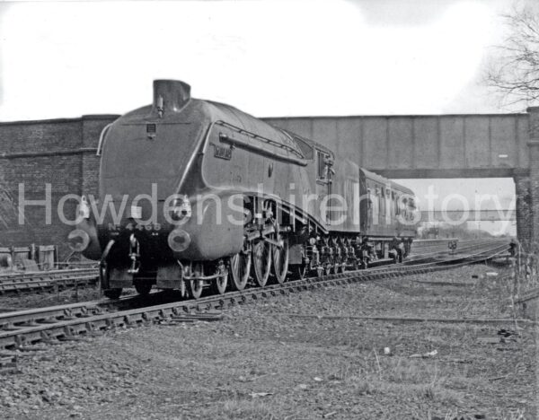 gilb-mallard-gilb134