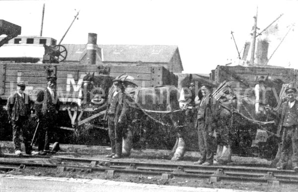 goole-railway-horses