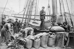 dock workers