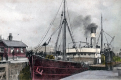 Lizzie