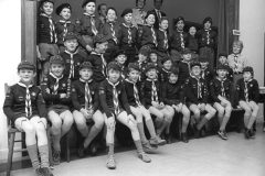 Howden cubs