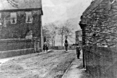 Carlton Chestnut Croft