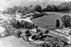 Gilberdyke White Horse