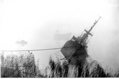 Saltmarshe