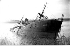 Saltmarshe
