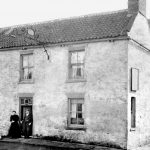 newport-turks-head