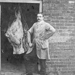 drax-butcher-herbert-thomas