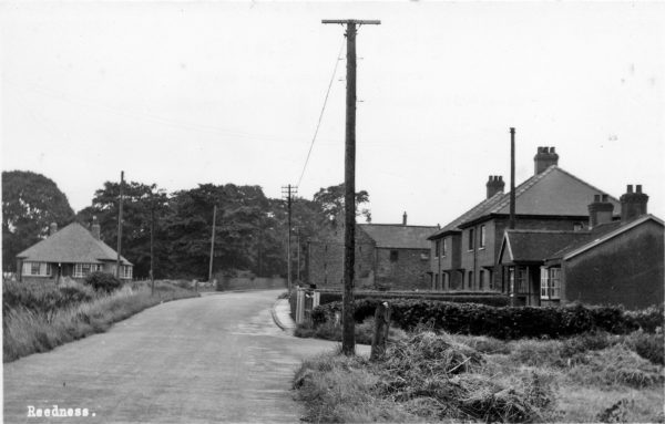 reedness-3