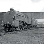 gilb-mallard-gilb134